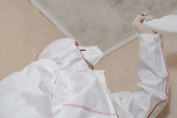 Best Residential Mold Remediation in Clayton, GA